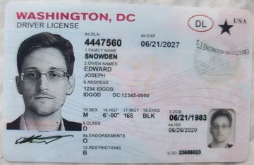 fake id for DISTRICT OF COLUMBIA