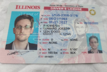 fake id for ILLINOIS