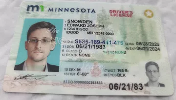 fake id for MINNESOTA