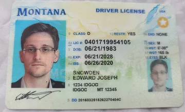 fake id for MONTANA