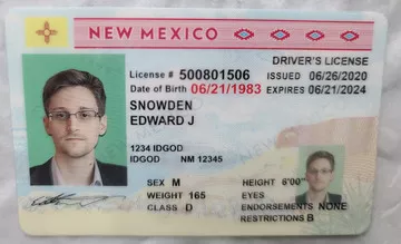 fake id for NEW MEXICO